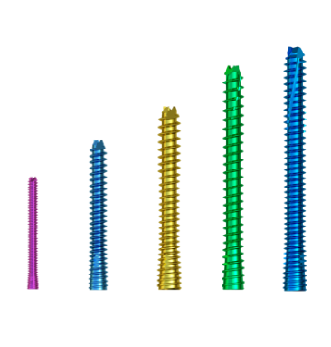Tornillo canulado